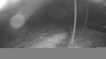 Snímek    25.10.2025 v 22:30