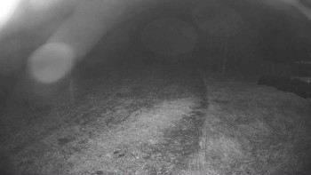 Snímek    25.10.2025 v 23:00