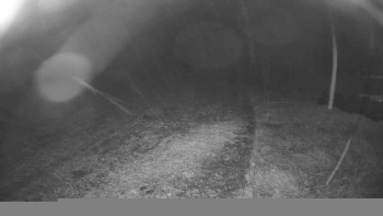 Snímek    26.10.2025 v 00:00