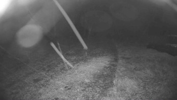 Snímek    26.10.2025 v 00:15