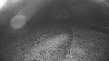 Snímek    26.10.2025 v 00:30