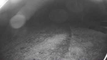 Snímek    26.10.2025 v 04:15
