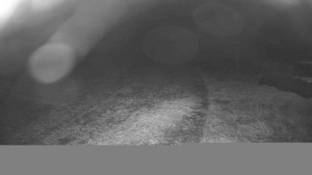 Snímek    26.10.2025 v 04:30