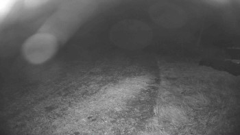 Snímek    26.10.2025 v 05:30
