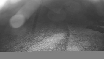 Snímek    26.10.2025 v 05:45