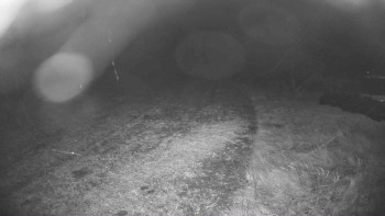 Snímek    26.10.2025 v 18:45