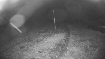 Snímek    26.10.2025 v 19:00