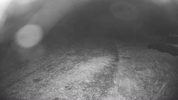 Snímek    26.10.2025 v 21:15