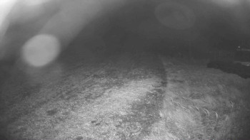 Snímek    26.10.2025 v 22:45