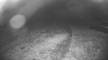Snímek    26.10.2025 v 23:00