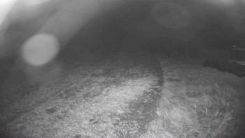 Snímek    26.10.2025 v 23:15