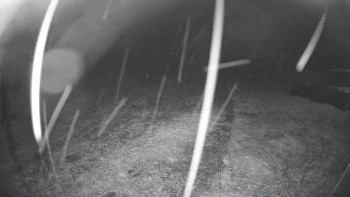 Snímek    27.10.2025 v 21:45