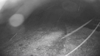 Snímek    27.10.2025 v 22:00