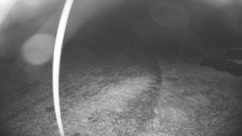 Snímek    27.10.2025 v 22:30