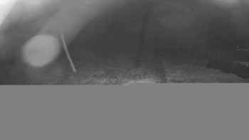 Snímek    27.10.2025 v 23:00