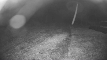 Snímek    27.10.2025 v 23:30