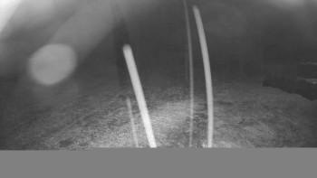 Snímek    28.10.2025 v 04:30