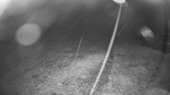 Snímek    28.10.2025 v 20:15