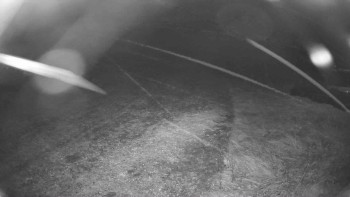 Snímek    28.10.2025 v 21:45