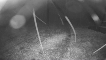 Snímek    28.10.2025 v 22:30