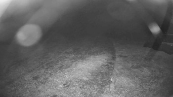 Snímek    28.10.2025 v 22:45