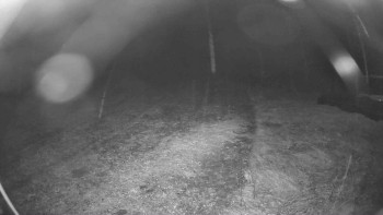 Snímek    28.10.2025 v 23:00