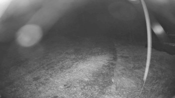 Snímek    29.10.2025 v 04:15