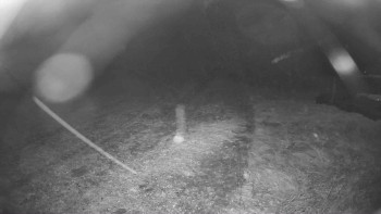 Snímek    29.10.2025 v 04:30