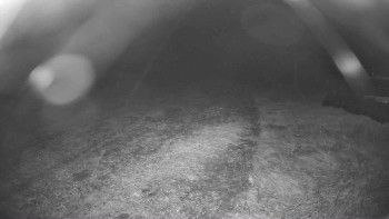 Snímek    29.10.2025 v 04:45