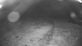 Snímek    29.10.2025 v 17:45