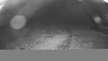 Snímek    29.10.2025 v 18:00