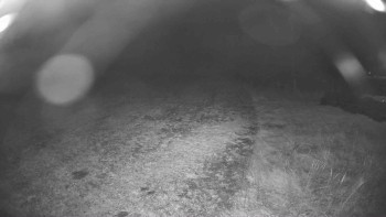 Snímek    29.10.2025 v 19:00