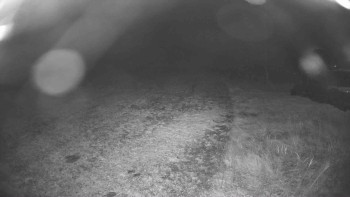 Snímek    29.10.2025 v 19:15