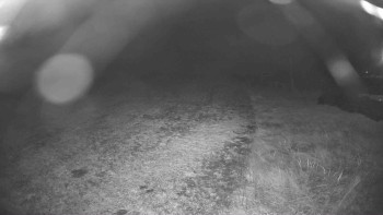 Snímek    29.10.2025 v 21:00