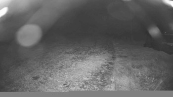 Snímek    29.10.2025 v 21:30