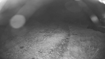 Snímek    29.10.2025 v 22:30