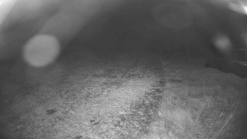 Snímek    29.10.2025 v 23:15