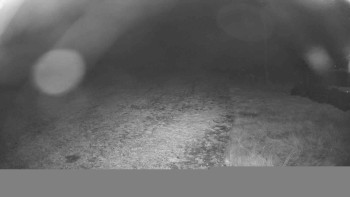 Snímek    30.10.2025 v 04:15