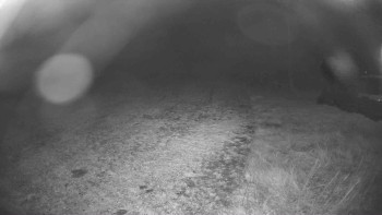 Snímek    30.10.2025 v 05:15