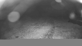 Snímek    30.10.2025 v 05:30