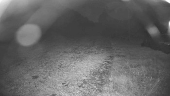 Snímek    30.10.2025 v 05:45