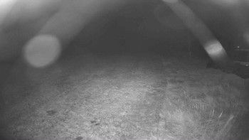 Snímek    31.10.2025 v 04:45