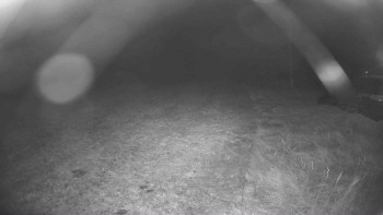 Snímek    31.10.2025 v 05:00