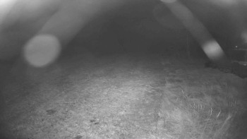 Snímek    31.10.2025 v 05:15