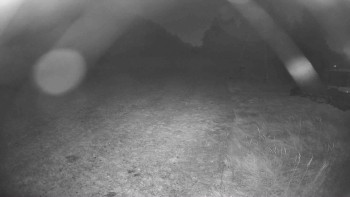 Snímek    31.10.2025 v 05:45