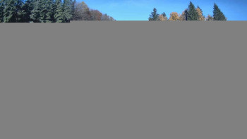 Snímek    31.10.2025 v 09:30