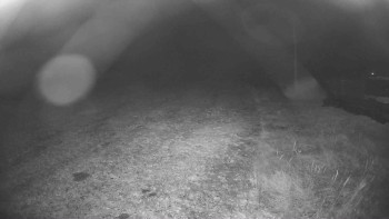 Snímek    1.11.2025 v 03:30