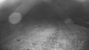 Snímek    1.11.2025 v 03:45