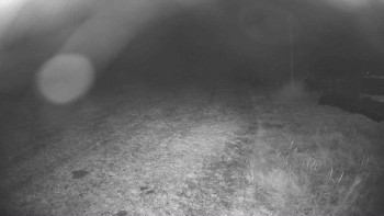 Snímek    1.11.2025 v 04:15