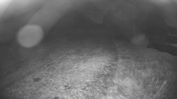 Snímek    1.11.2025 v 05:45